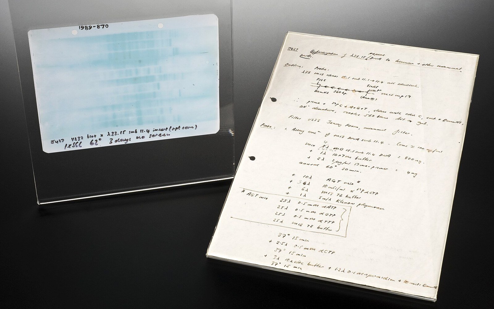 A framed autoradiograph film beside a handwritten laboratory notebook page detailing a DNA experiment